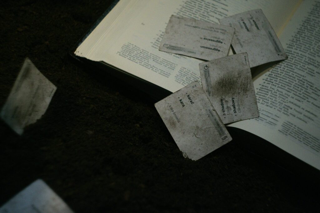 03_fot_Artur-Rzezniczek-4-scaled