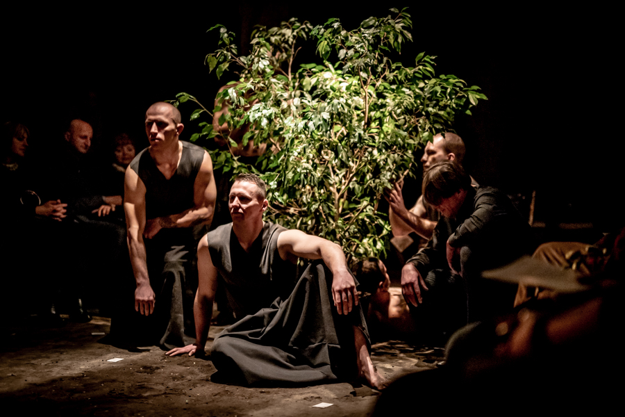 DSC_5212-M.Zakrzewski-s_