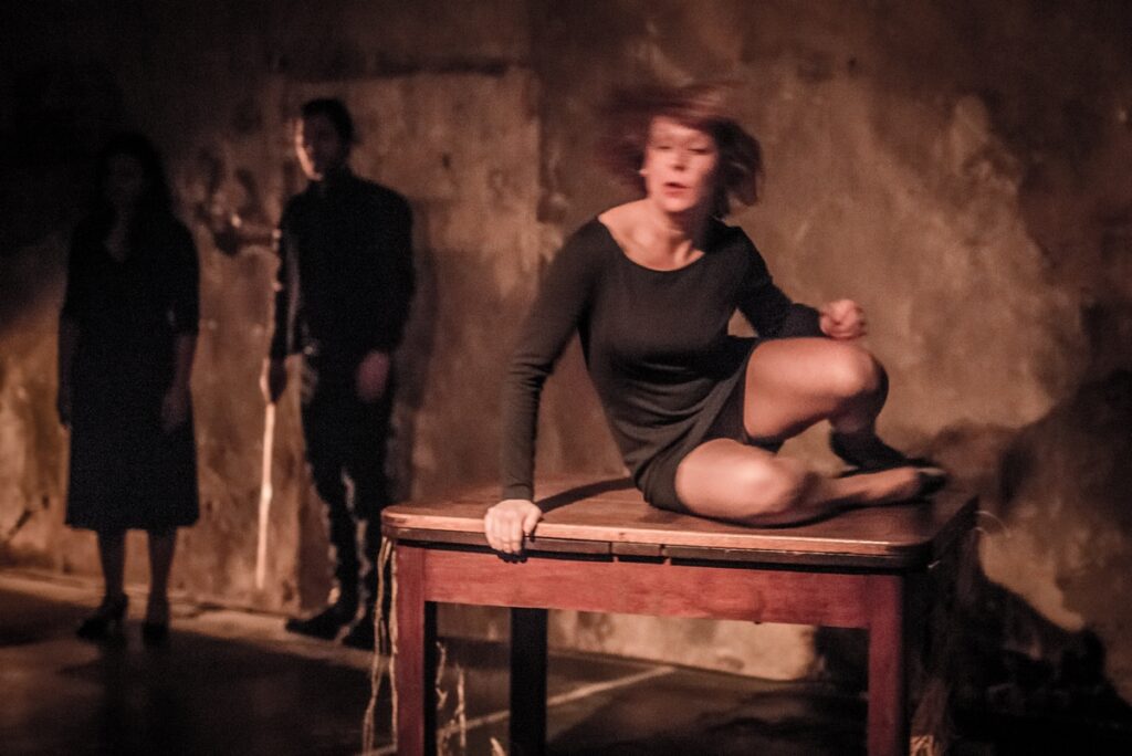 Fot.Maciej Zakrzewski