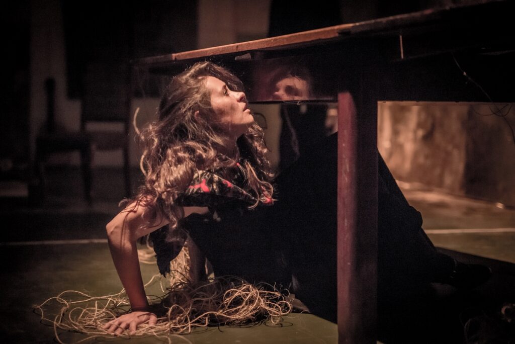 Fot.Maciej Zakrzewski